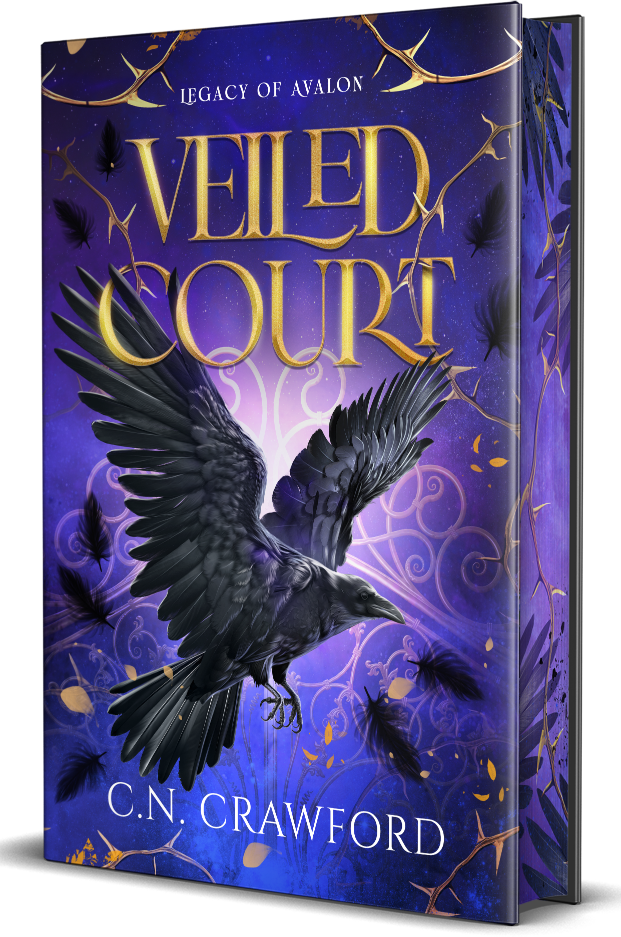 Book cover for 'Veiled Court' by C.N.